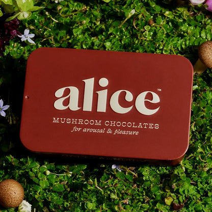 Happy Ending - Mushroom Chocolate Supplement For Wellness