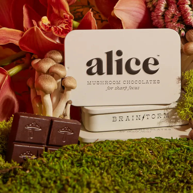 Brainstorm — Mushroom Chocolate Supplement For Focus