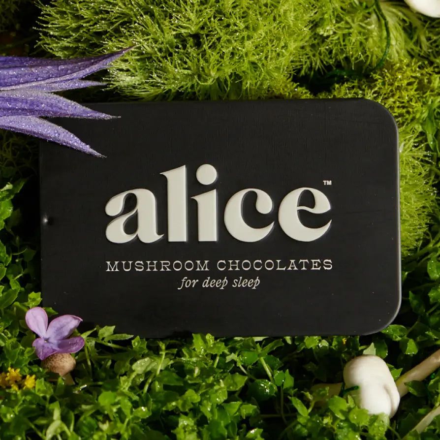 Nightcap — Mushroom Chocolate Supplement For Deep Sleep